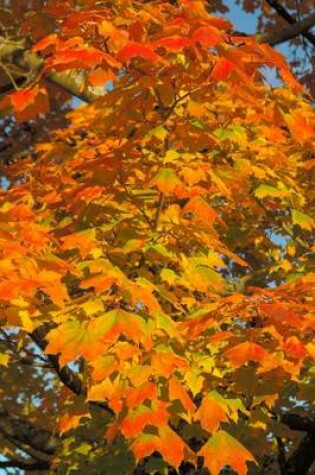 Cover of Fall Colors of the Norway Maple Tree