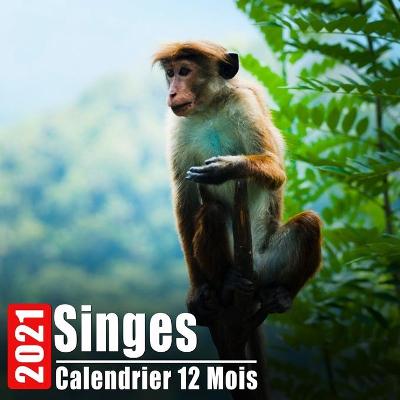 Book cover for Calendrier 2021 Singes