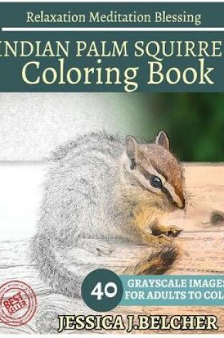 Cover of Indian Palm Squirrel Coloring Book for Adults Relaxation Meditation Blessing