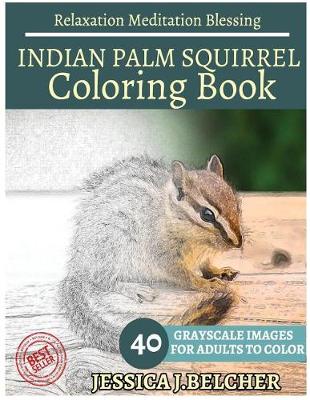 Book cover for Indian Palm Squirrel Coloring Book for Adults Relaxation Meditation Blessing