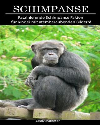 Book cover for Schimpanse
