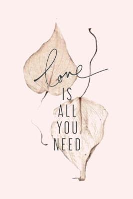 Book cover for love is all you need