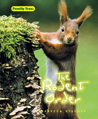 Book cover for The Rodent Order