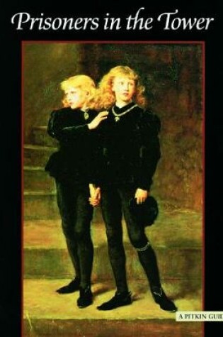 Cover of Prisoners in the Tower