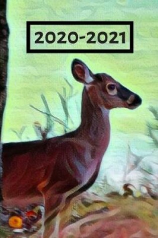 Cover of Cute Brown Doe Deer by Water Dated Calendar Planner 2 years To-Do Lists, Tasks, Notes Appointments for Men & Women