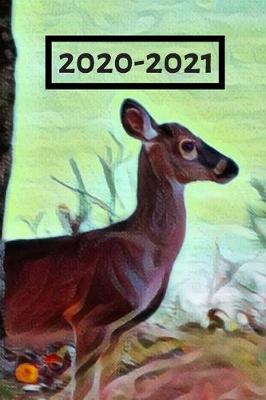 Book cover for Cute Brown Doe Deer by Water Dated Calendar Planner 2 years To-Do Lists, Tasks, Notes Appointments for Men & Women