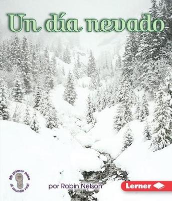 Cover of Un Dia Nevado (a Snowy Day)