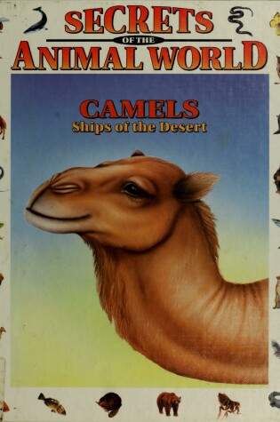 Cover of Camels