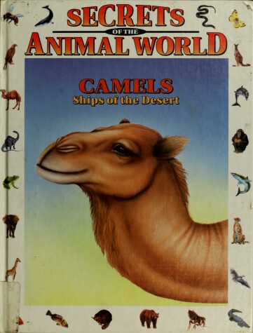 Cover of Camels