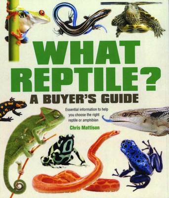 Cover of What Reptile? A Buyer's Guide