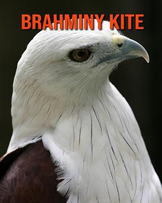 Book cover for Brahminy kite