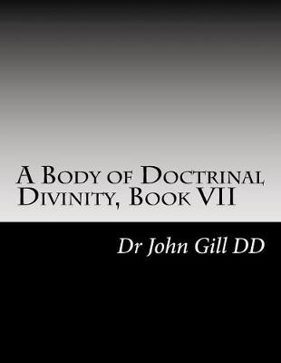 Book cover for A Body of Doctrinal Divinity, Book VII