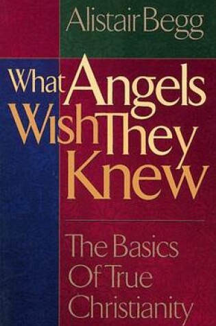 Cover of What Angels Wish They Knew