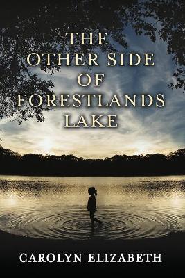 Book cover for The Other Side of Forestlands Lake