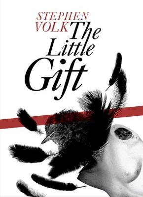 Book cover for The Little Gift