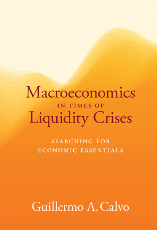 Book cover for Macroeconomics in Times of Liquidity Crises