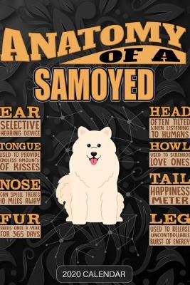 Book cover for Anatomy Of A Samoyed