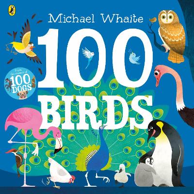 Book cover for 100 Birds