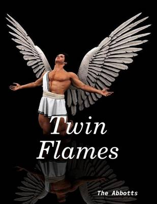 Book cover for Twin Flames