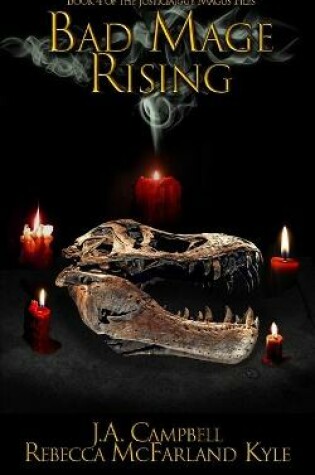 Cover of Bad Mage Rising