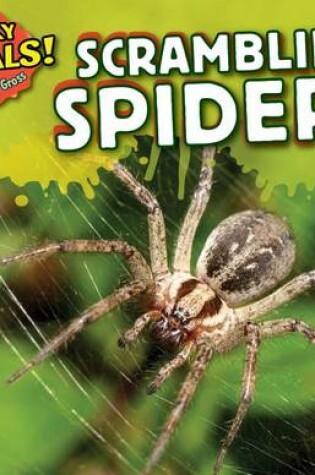Cover of Scrambling Spiders