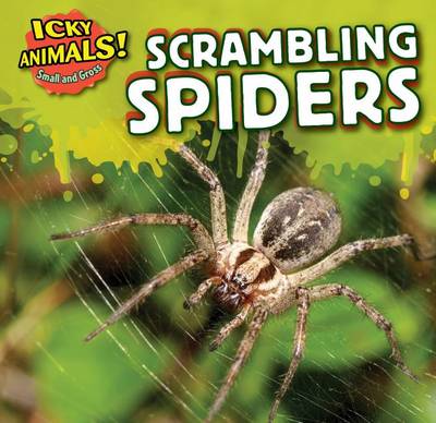 Book cover for Scrambling Spiders