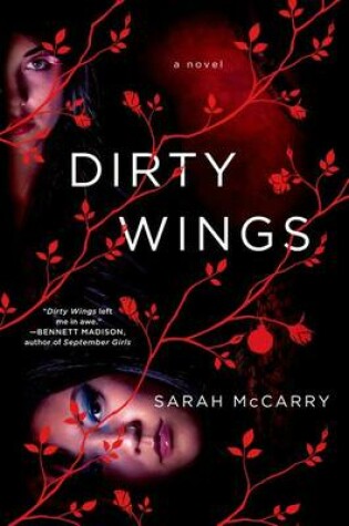 Cover of Dirty Wings