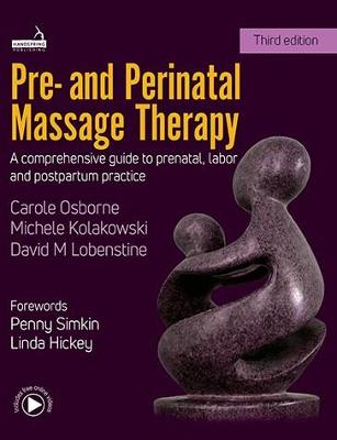 Book cover for Pre- And Perinatal Massage Therapy