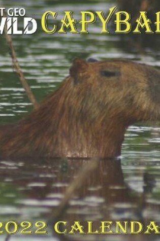 Cover of Capybara Calendar 2022