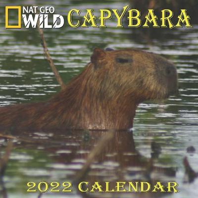 Book cover for Capybara Calendar 2022