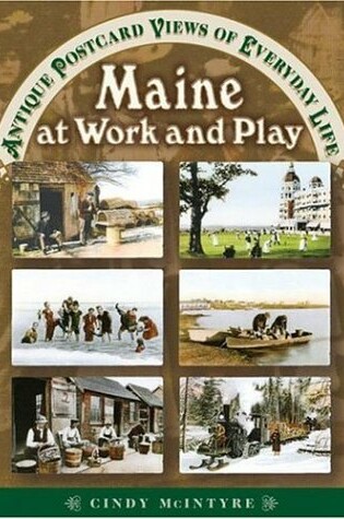 Cover of Maine at Work and Play