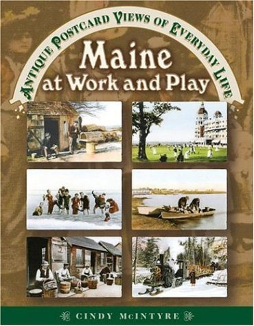 Book cover for Maine at Work and Play