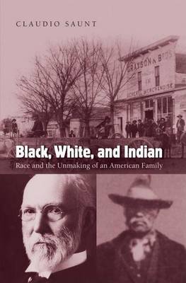 Book cover for Black, White, and Indian: Race and the Unmaking of an American Family