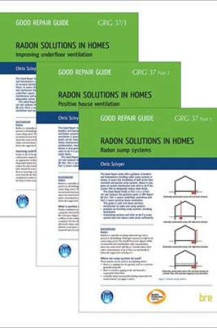 Cover of Radon Solutions in Homes