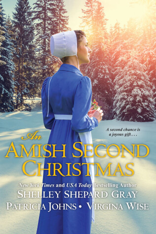 Book cover for Amish Second Christmas, An