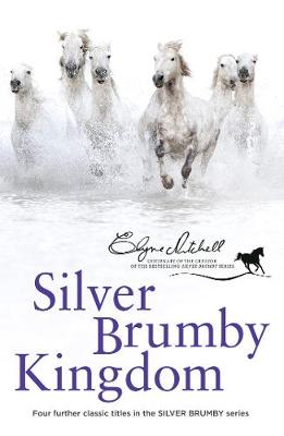 Book cover for Silver Brumby Kingdom