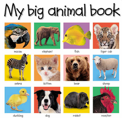 Book cover for My Big Book of Animals
