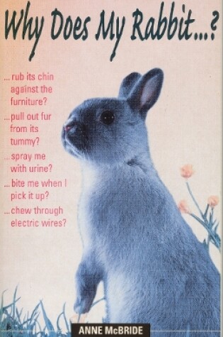 Cover of Why Does My Rabbit...?