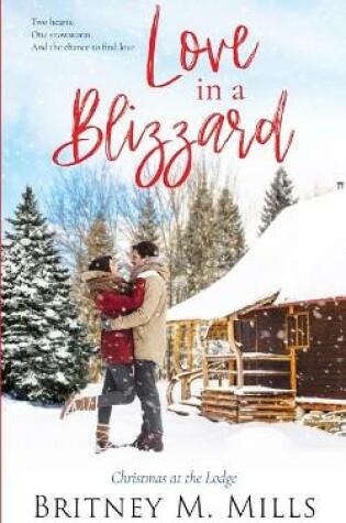 Cover of Love in a Blizzard