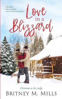 Book cover for Love in a Blizzard