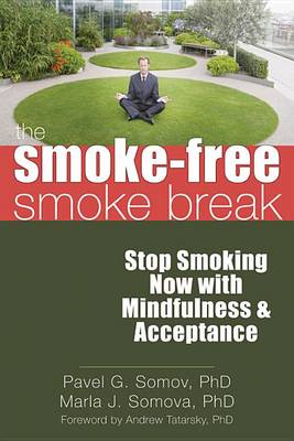Book cover for The Smoke-Free Smoke Break