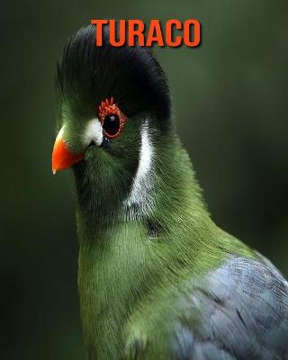 Book cover for Turaco