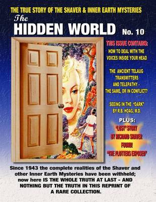 Book cover for The Hidden World Number 10