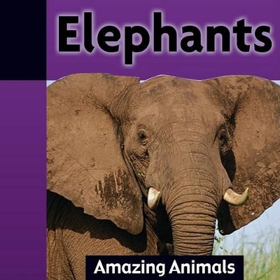 Book cover for Elephants