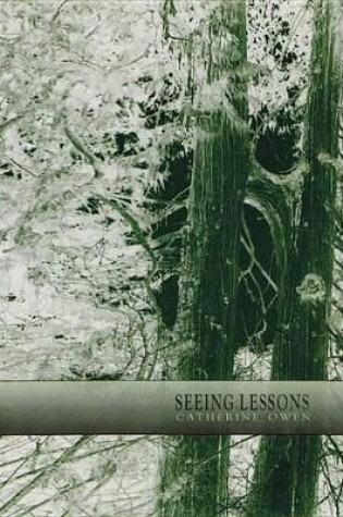 Cover of Seeing Lessons