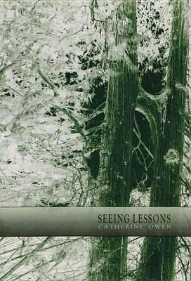 Book cover for Seeing Lessons