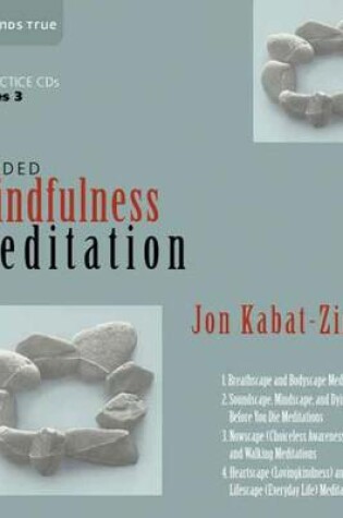 Cover of Guided Mindfulness Meditation Series 3