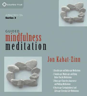 Book cover for Guided Mindfulness Meditation Series 3