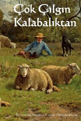 Book cover for Cok Cilgin Kalabaliktan