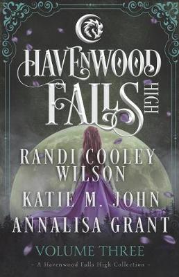 Book cover for Havenwood Falls High Volume Three